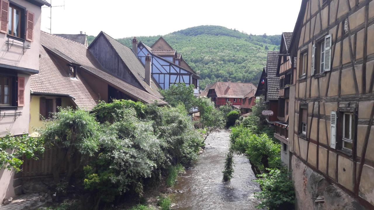 4 Gites Individuels A Kaysersberg エクステリア 写真